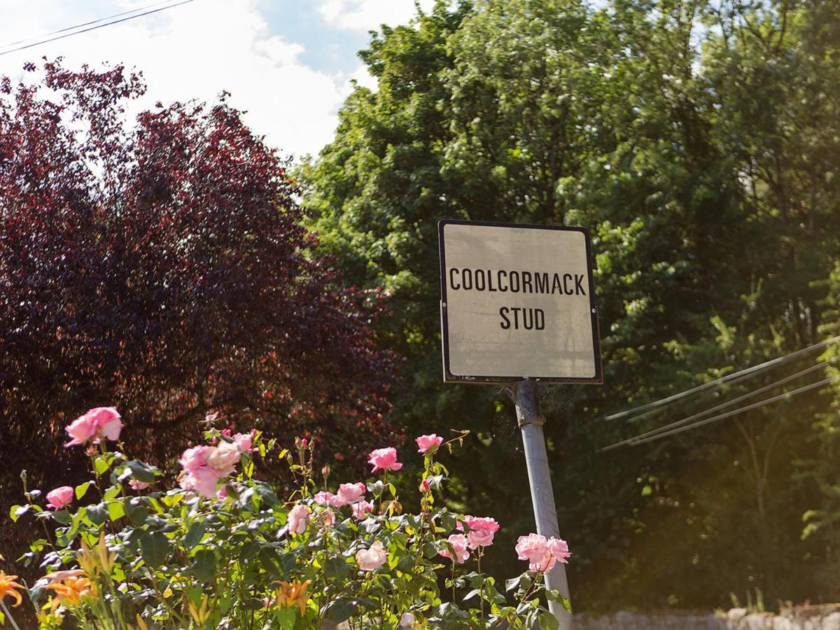דנגרבן Coolcormack Stud B&B מראה חיצוני תמונה